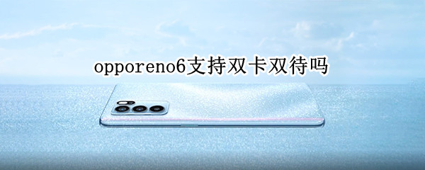 opporeno6支持双卡双待吗