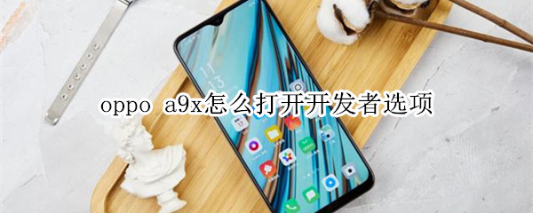 oppo a9x怎么打开开发者选项