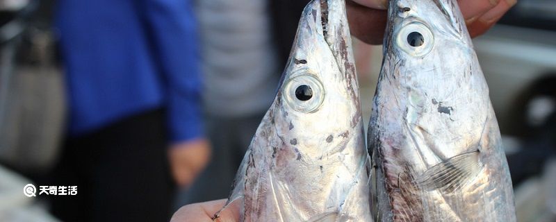 带鱼有刺吗 带鱼有没有刺