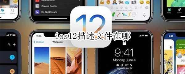 ios12描述文件在哪