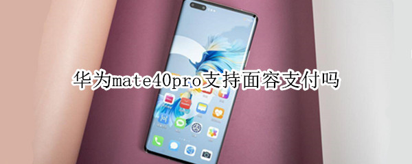 华为mate40pro支持面容支付吗