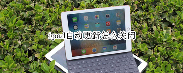 ipad自动更新怎么关闭