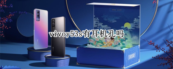 vivoy53s有耳机孔吗