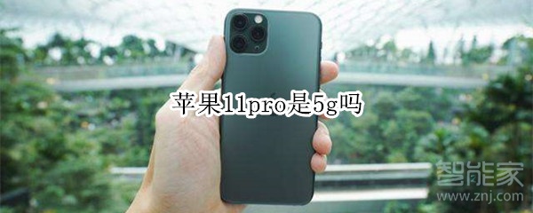 苹果11pro是5g吗