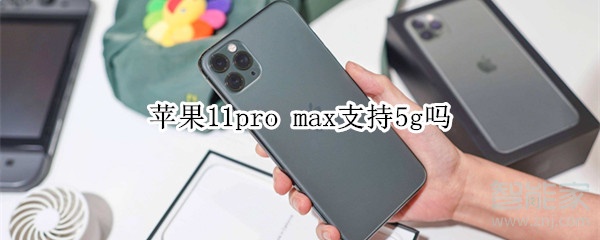 苹果11pro max支持5g吗