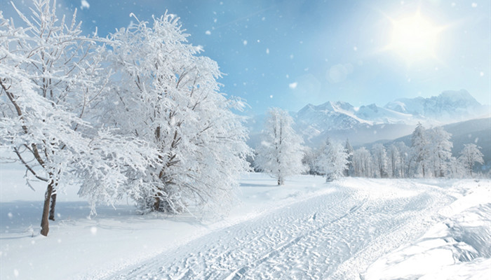 大雪节气北方吃什么 大雪节气北方吃什么东西