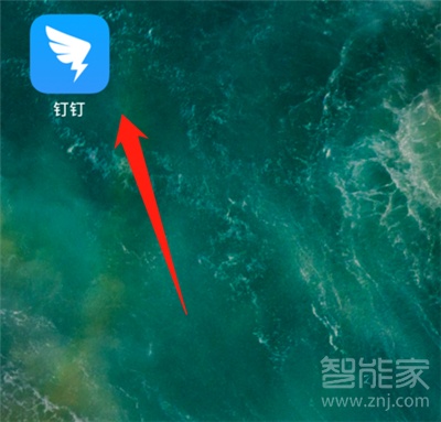 钉钉怎么保存直播回放