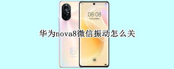 华为nova8微信振动怎么关