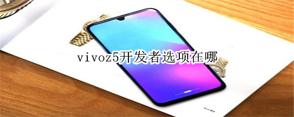 vivoz5开发者选项在哪