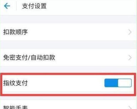 iqoo怎么开启支付宝指纹支付