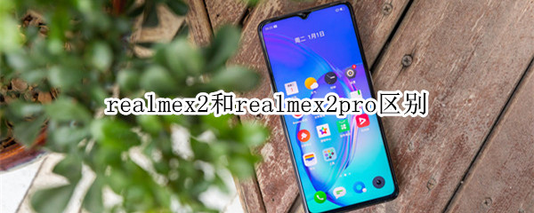 realmex2和realmex2pro区别