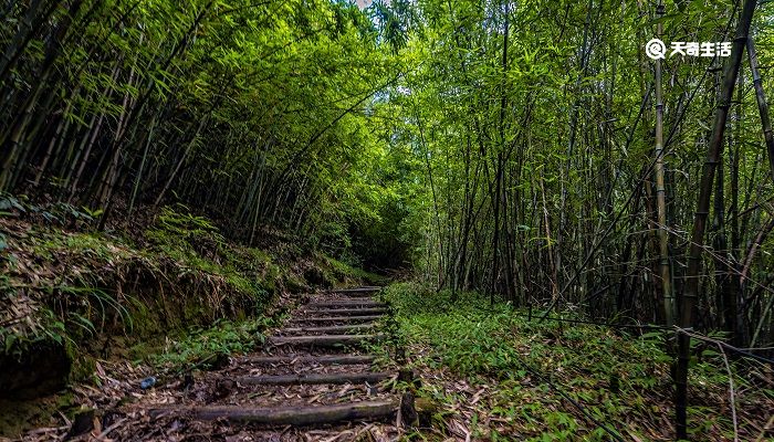 离恨恰如春草,更行更远还生什么意思 离恨恰如春草更行更远还生的意思