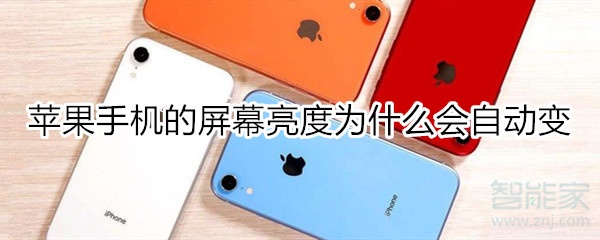 苹果手机的屏幕亮度为什么会自动变啊