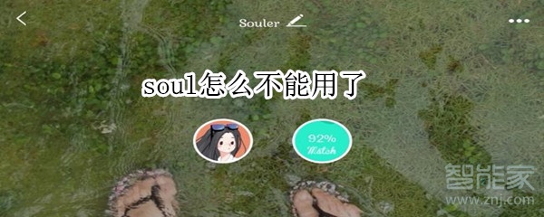 soul怎么不能用了