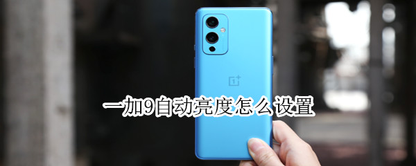 一加9自动亮度怎么设置