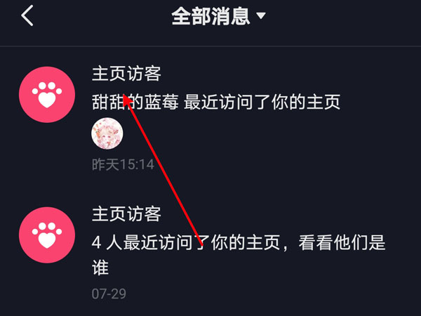 抖音如何设置访客记录
