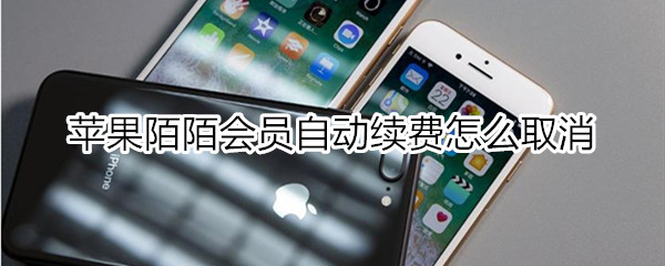 苹果陌陌会员自动续费怎么取消