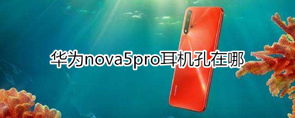 华为nova5pro耳机孔在哪