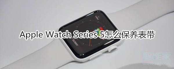 Apple Watch Series 5怎么保养表带