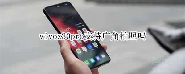 vivox30pro支持广角拍照吗