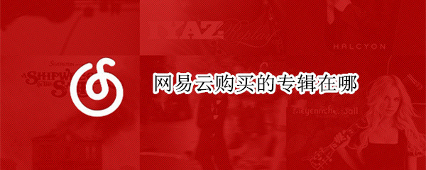 网易云购买的专辑在哪