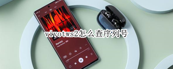 vivotws2怎么查序列号