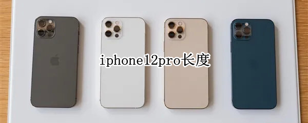 iphone12pro长度