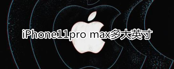 iPhone11max多大英寸