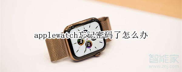 applewatch忘记密码了怎么办