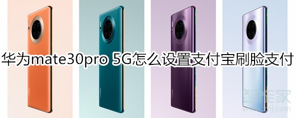 华为mate30pro 5G版怎么设置支付宝刷脸支付