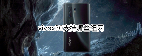 vivox30支持哪些组网