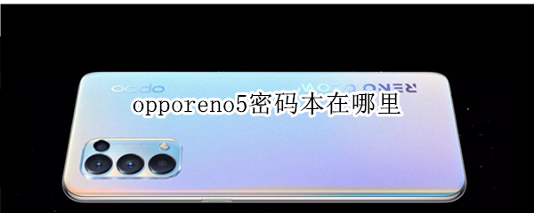 opporeno5密码本在哪里