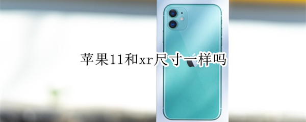 苹果11和xr尺寸一样吗