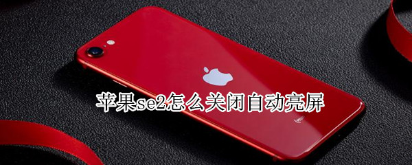 苹果se2怎么关闭自动亮屏