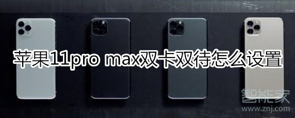 苹果11pro max双卡双待怎么设置