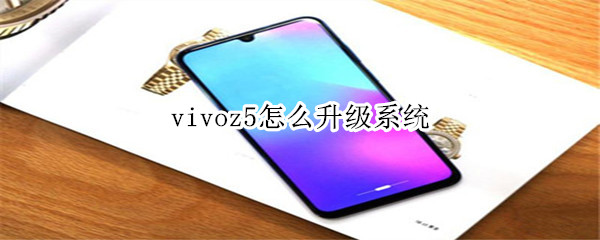 vivoz5怎么升级系统