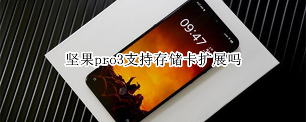 坚果pro3支持存储卡扩展吗