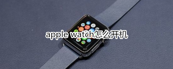 apple watch怎么开机
