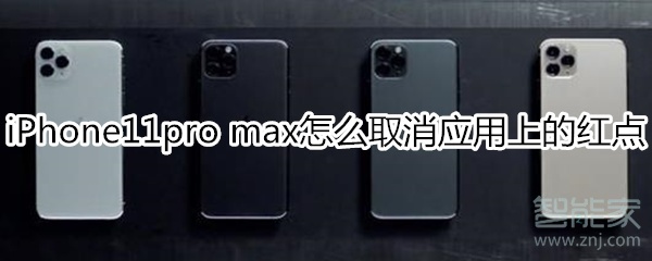 iPhone11pro max怎么取消应用上的红点