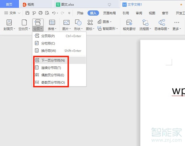 wps分节符在哪里设置