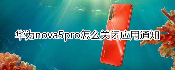 华为nova5pro怎么关闭应用通知