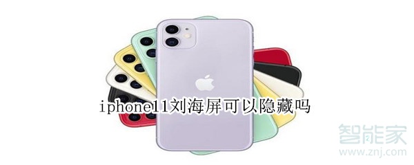 iphone11刘海屏可以隐藏吗