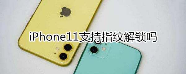 iphone11会出指纹吗