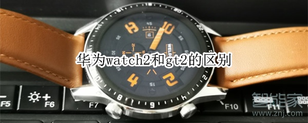 华为watch2和gt2的区别