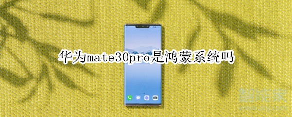 华为mate30pro是鸿蒙系统吗