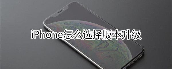 iphone怎么选择版本升级