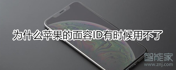 为什么苹果的面容ID有时候用不了