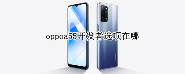 oppoa55开发者选项在哪