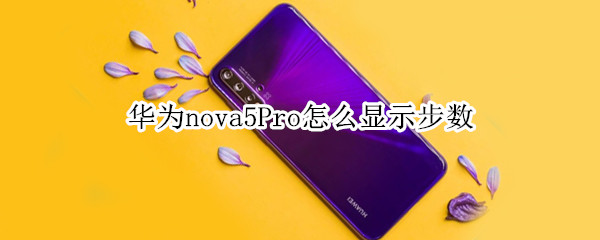 华为nova5Pro怎么显示步数