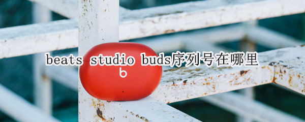 beats studio buds序列号在哪里